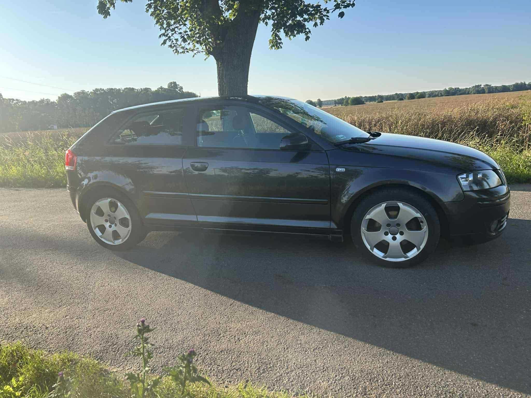Audi A3 8P 2005 2.0 TDI