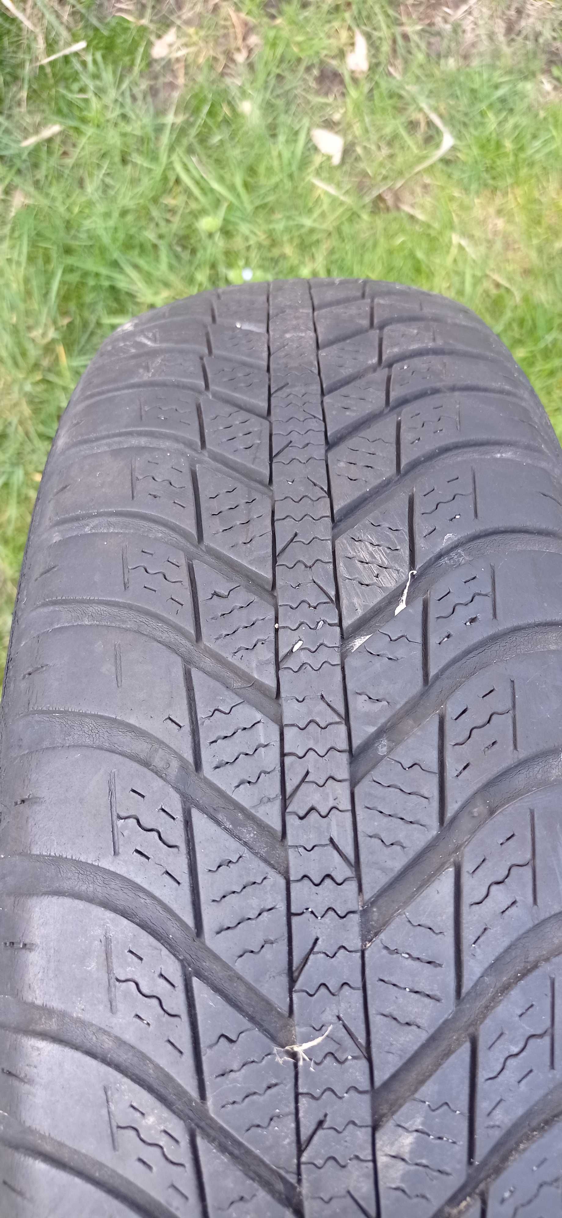 175/65R15 NEXEN opony całoroczne 50zł. szt. !!!