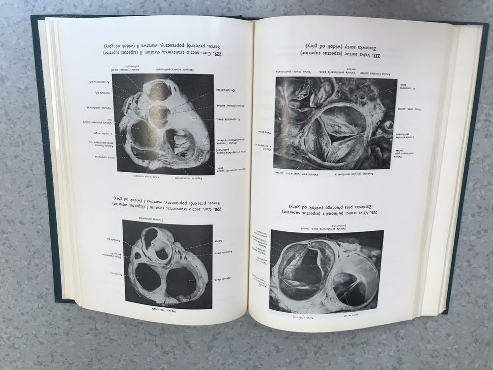 Atlas anatomii człowieka, tom 2 -  Stelmasiak, Osemlak