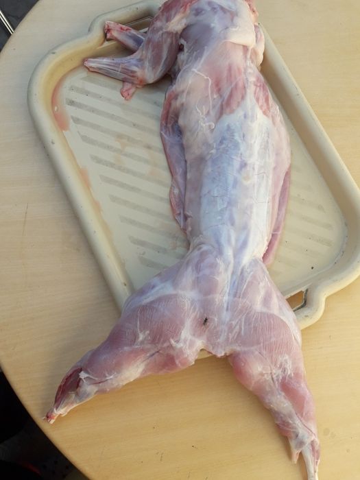 Продам мясо кролика