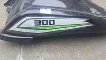 Carnagens Kawasaki BruteForce 300