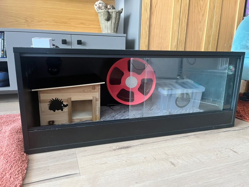Terrarium z systemem grzewczym, akcesoria, wyprawka jeż pigmejski