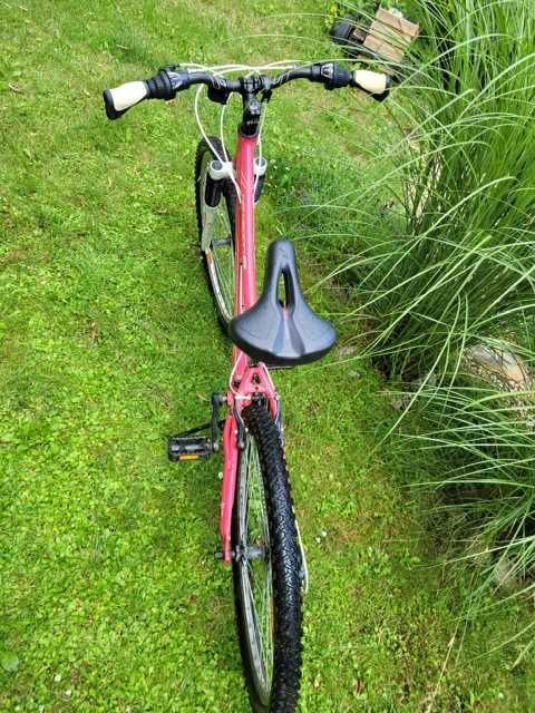 Rower Harley-Davidson all terrain GEOMETRY