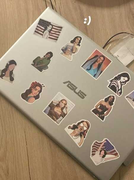 50 Autocolantes da Lana Del Rey ENTREGA GRÁTIS SELADO