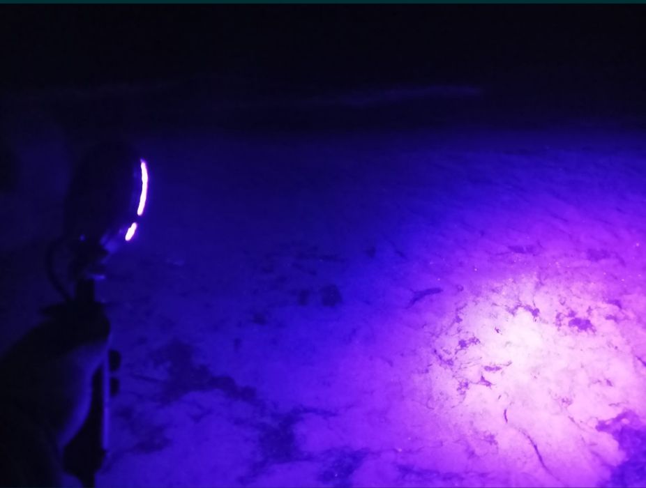 Latarka lampa UV do poszukiwania bursztynu