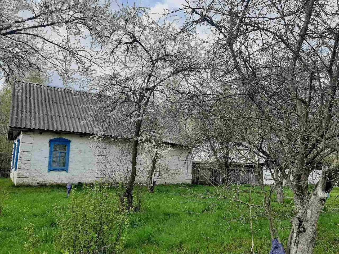 Продам будинок в с. Повідов ( с.Дніпровське)