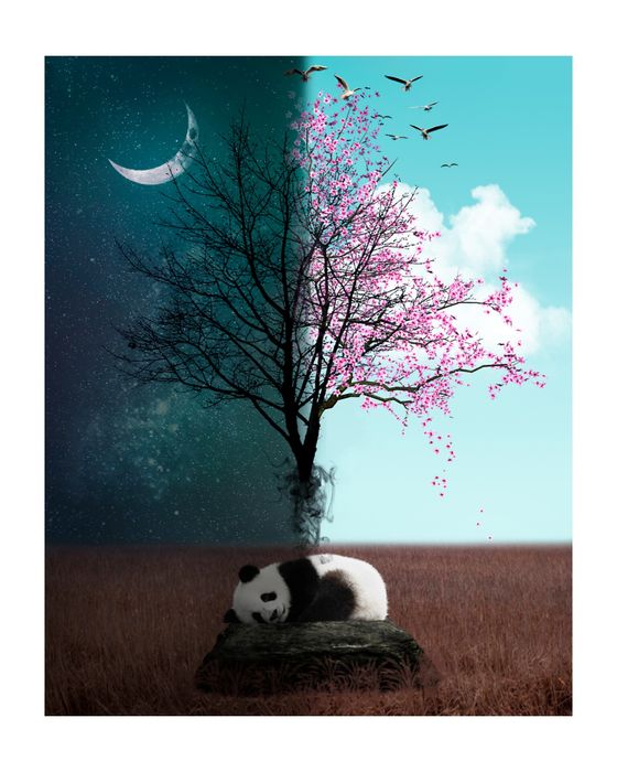 Уроки графики и дизайна (Photoshop, Illustrator, Corel, InDesign)