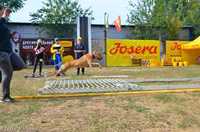 Long Jump Прыжки в длину ТРЕНИРОВКИ