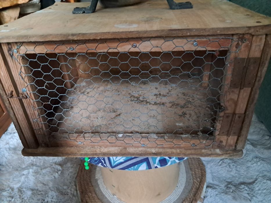 Caixa de transporte de pombos