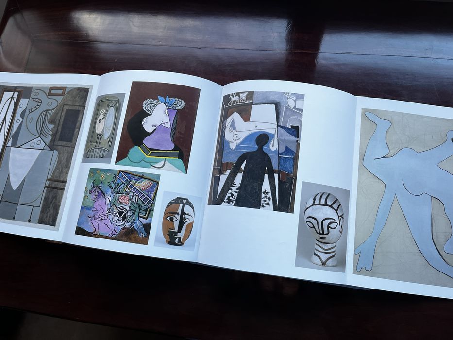 Picasso.Mania - Livro / Catálogo de Exposição 2015