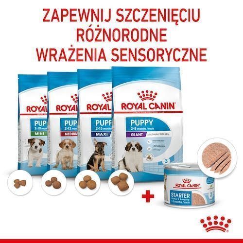 Royal Canin Karma Mokra Dla Suk W Czasie Ciąży i Szczeniąt Puszka 195G