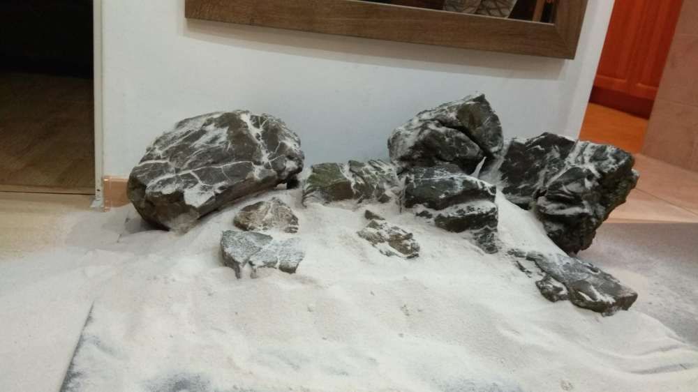 Aranzacja iwagumi unikalny kamien