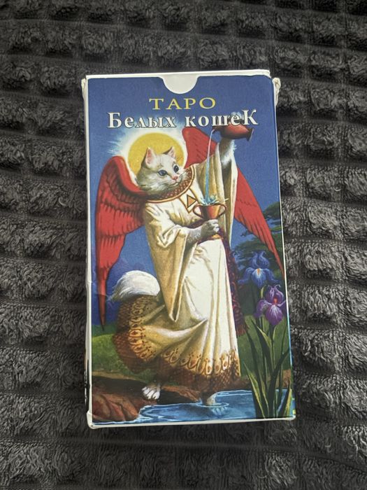 таро, таро з котиками