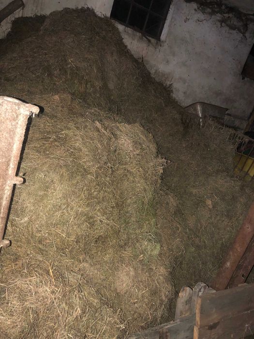 Siano luzem z trzeciego pokosu