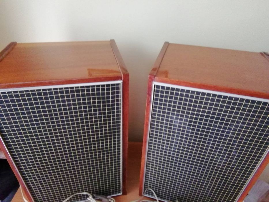 Колонки Вега 101