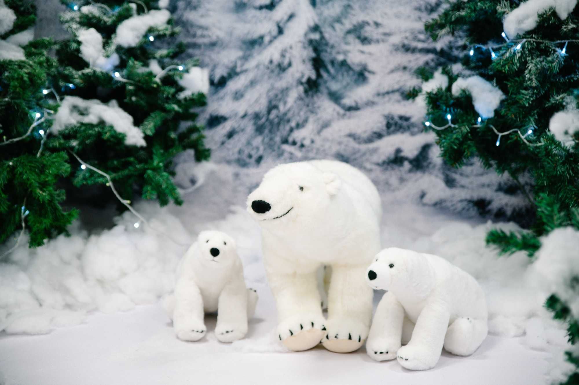 Ursos polares peluche - 86 cm x 51 cm
