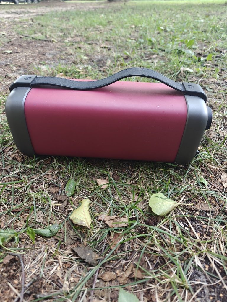 Dual BT 10 głośnik z Bluetooth i radio
