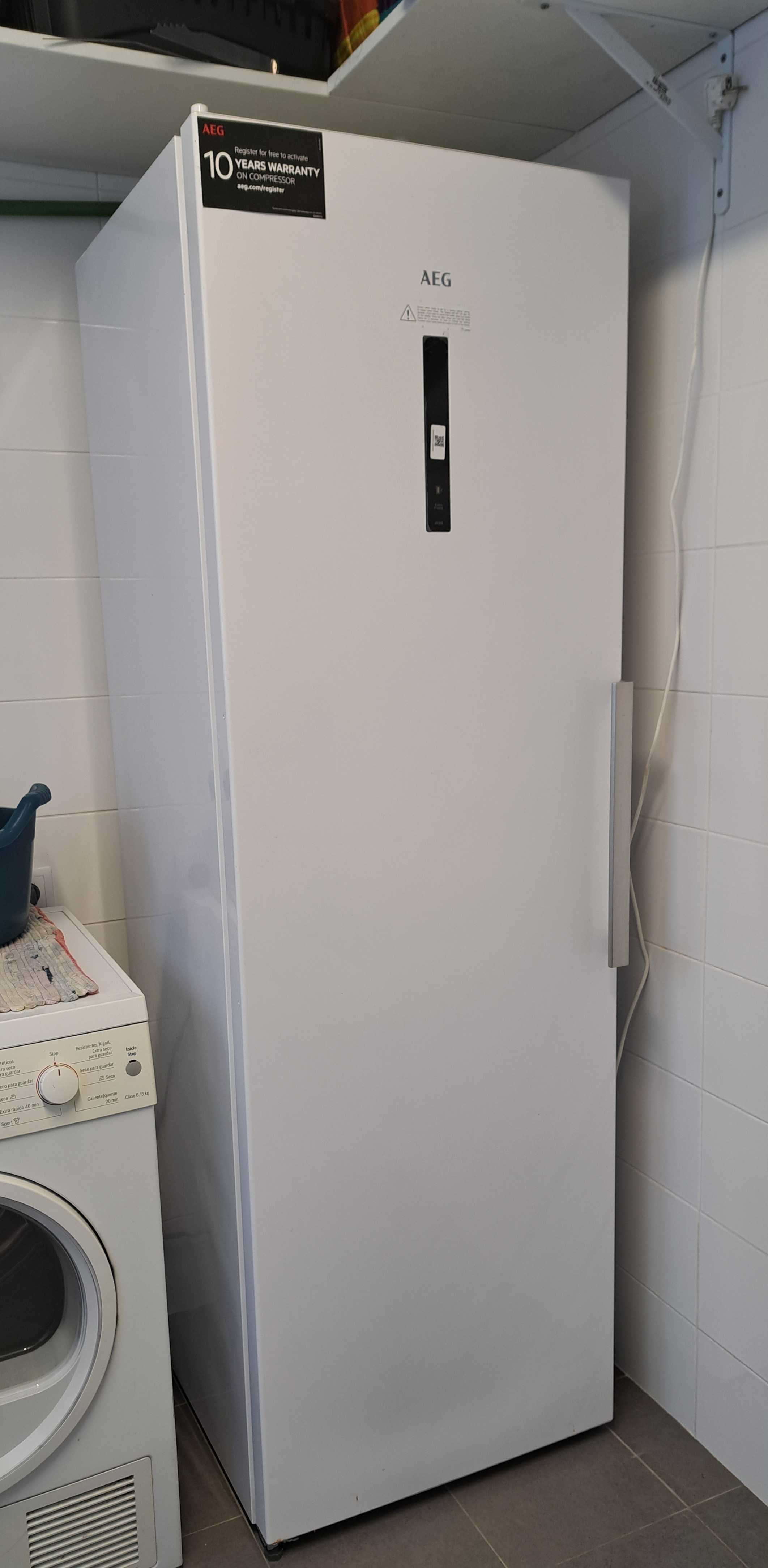 Arca congeladora vertical AEG