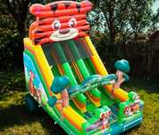 Wynajem DMUCHAŃCÓW Animacje wata cukrowa, PIANA PARTY balony itd