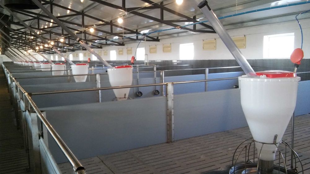 Paszociąg Spiralny Paszociągi Stacje Paszowych Roboty Udojowe Chlewnie