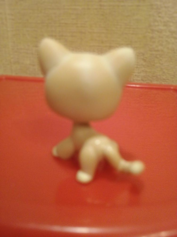 Littlest pet shop kot shorthair Pop #228 figurka LPS cat shorthair