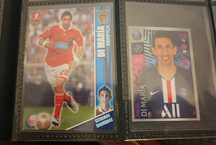 Di maria cartas panini