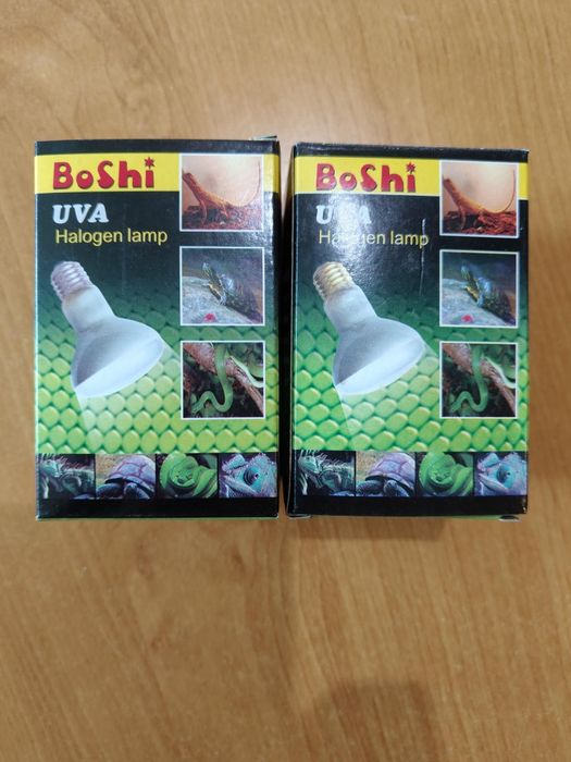 Żarówki do terrarium