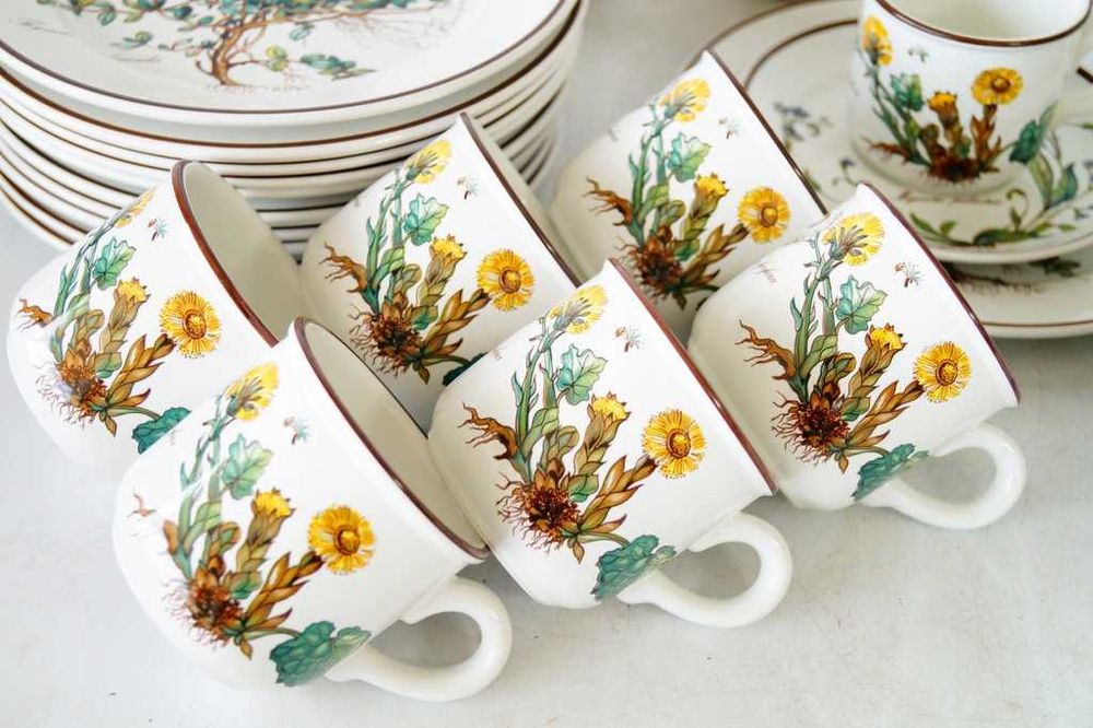 Villeroy Boch Botanica serwis do kawy 12 osób