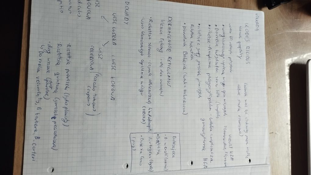 Notatki z parazytologii