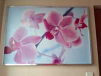 Obraz ikea storczyk orchidea