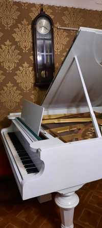 Белый рояль Proch