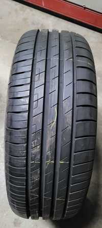 Goodyear EFFIcientGrip Performance 205/55/17 95V