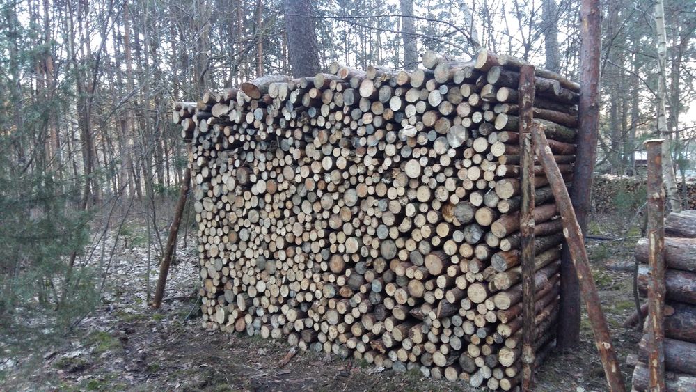 Drewno, drzewo opałowe Sosna 6m3