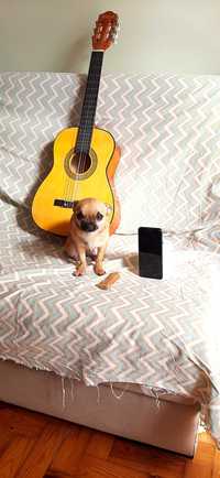 Chihuahua menina mini toy de bolso