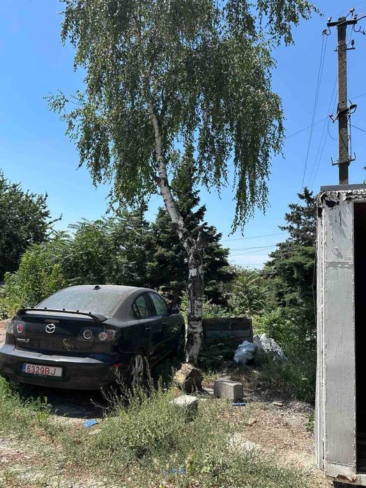 Дерево дрова под спил Бесплатно