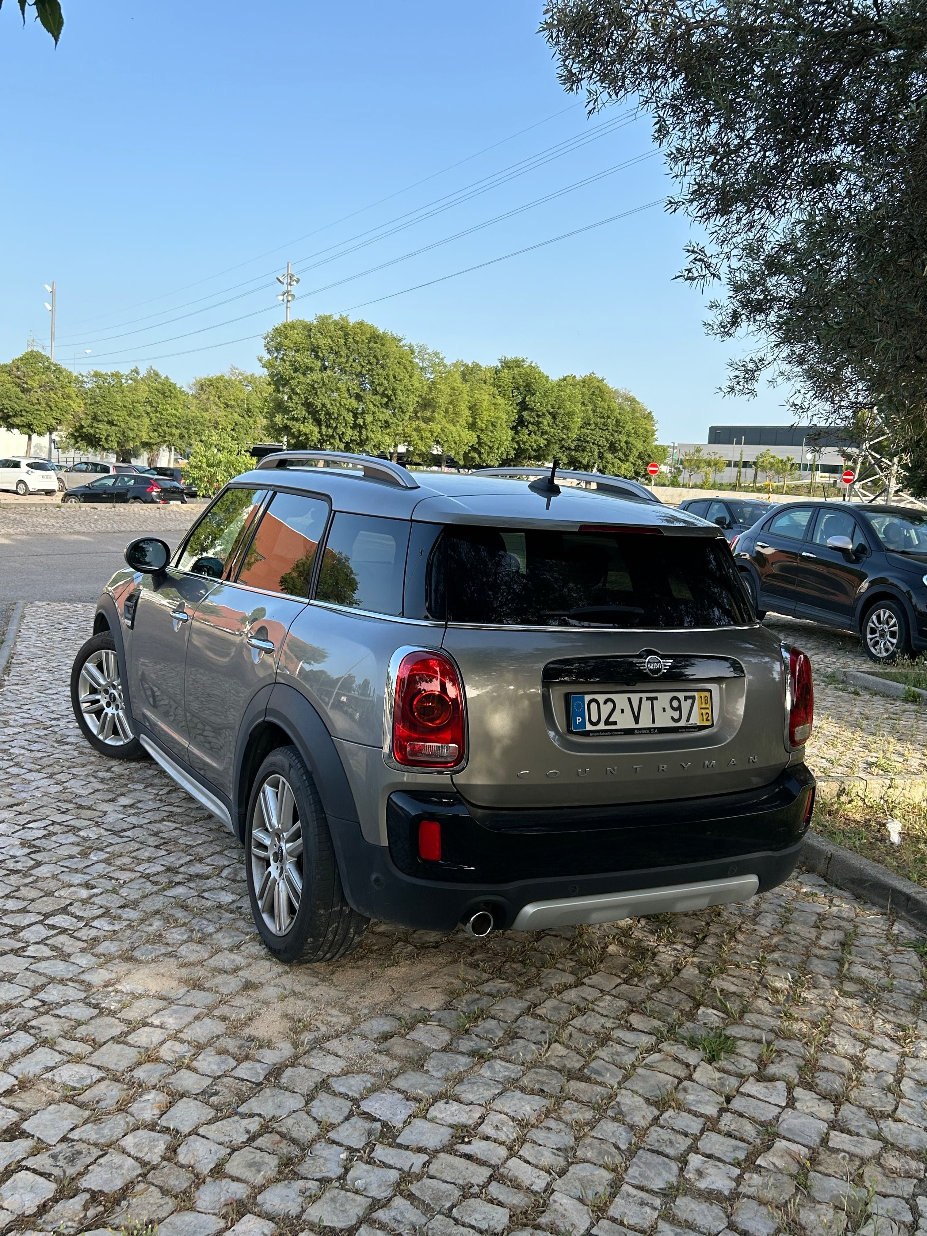 Mini Countryman “Sherwood Edition”, um dono
