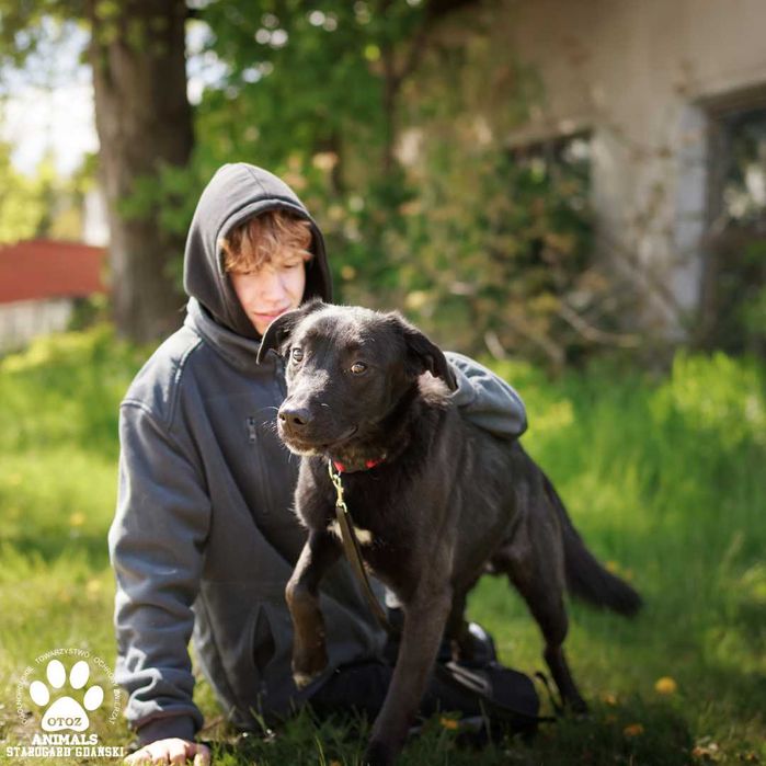 Pokochaj wspaniałego psa Księciunia!