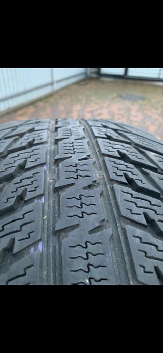 Резина зимняя Nokian