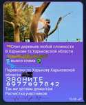Уборка участков, спил деревьев , вывоз мусора