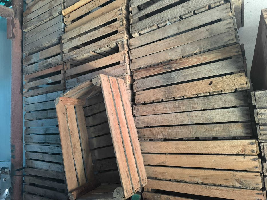 skrzynki do kiełkowania ziemniaków 60x40x21