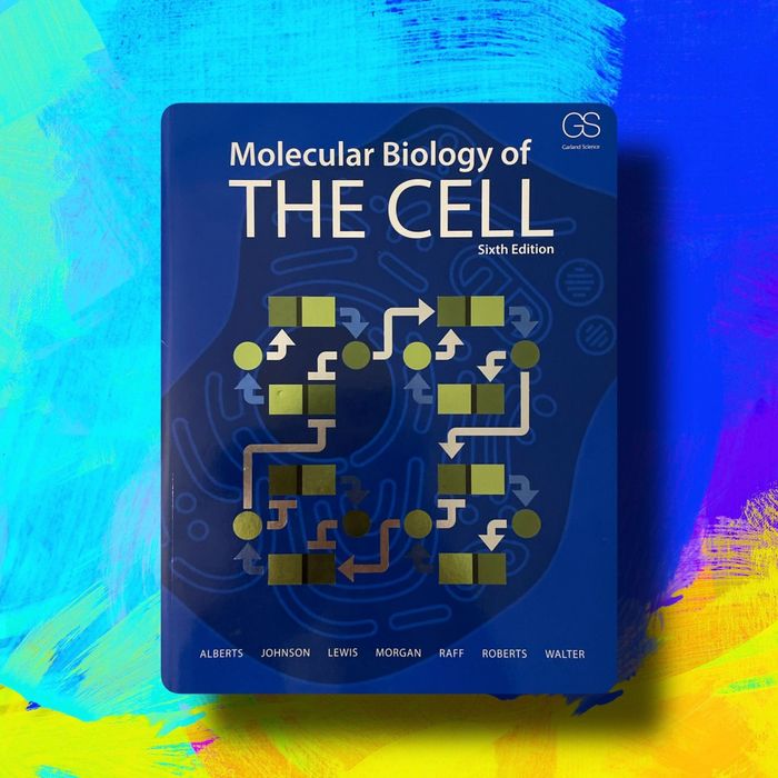 Molecular Biology of the Cell (sixth edition)