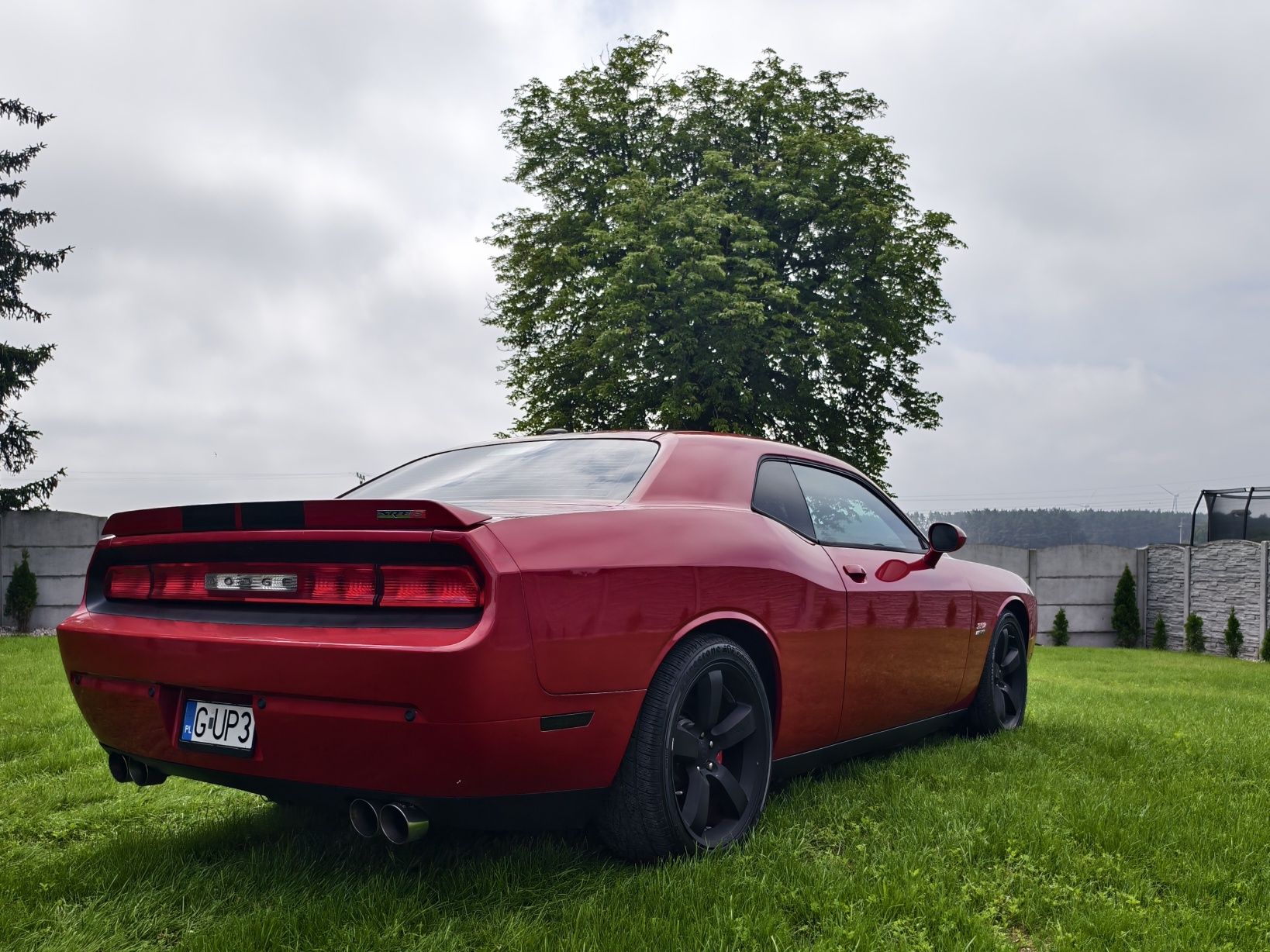Challenger SRT8 6.4 V8*zarejestrowany