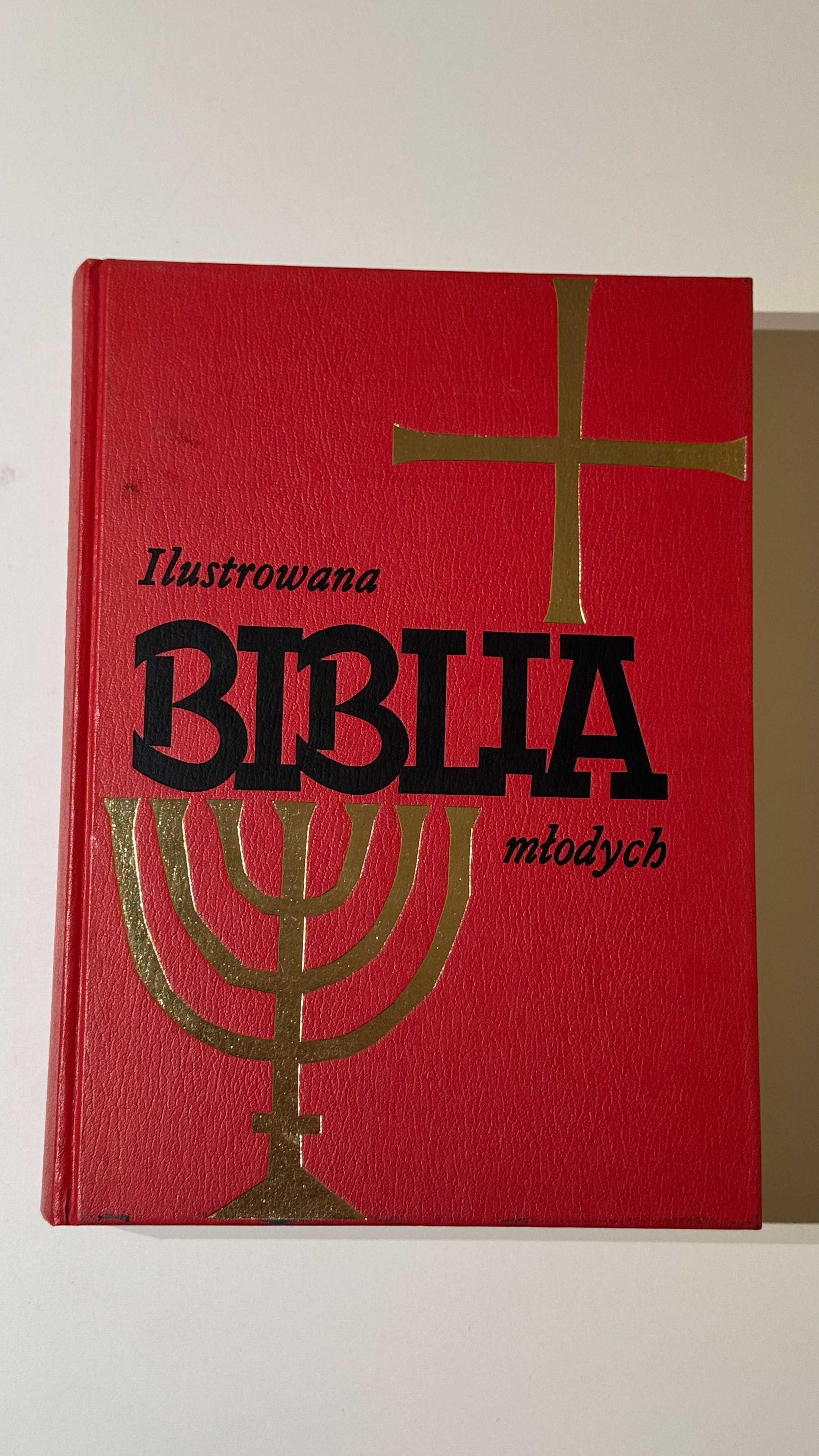 Ilustrowana Biblia młodych