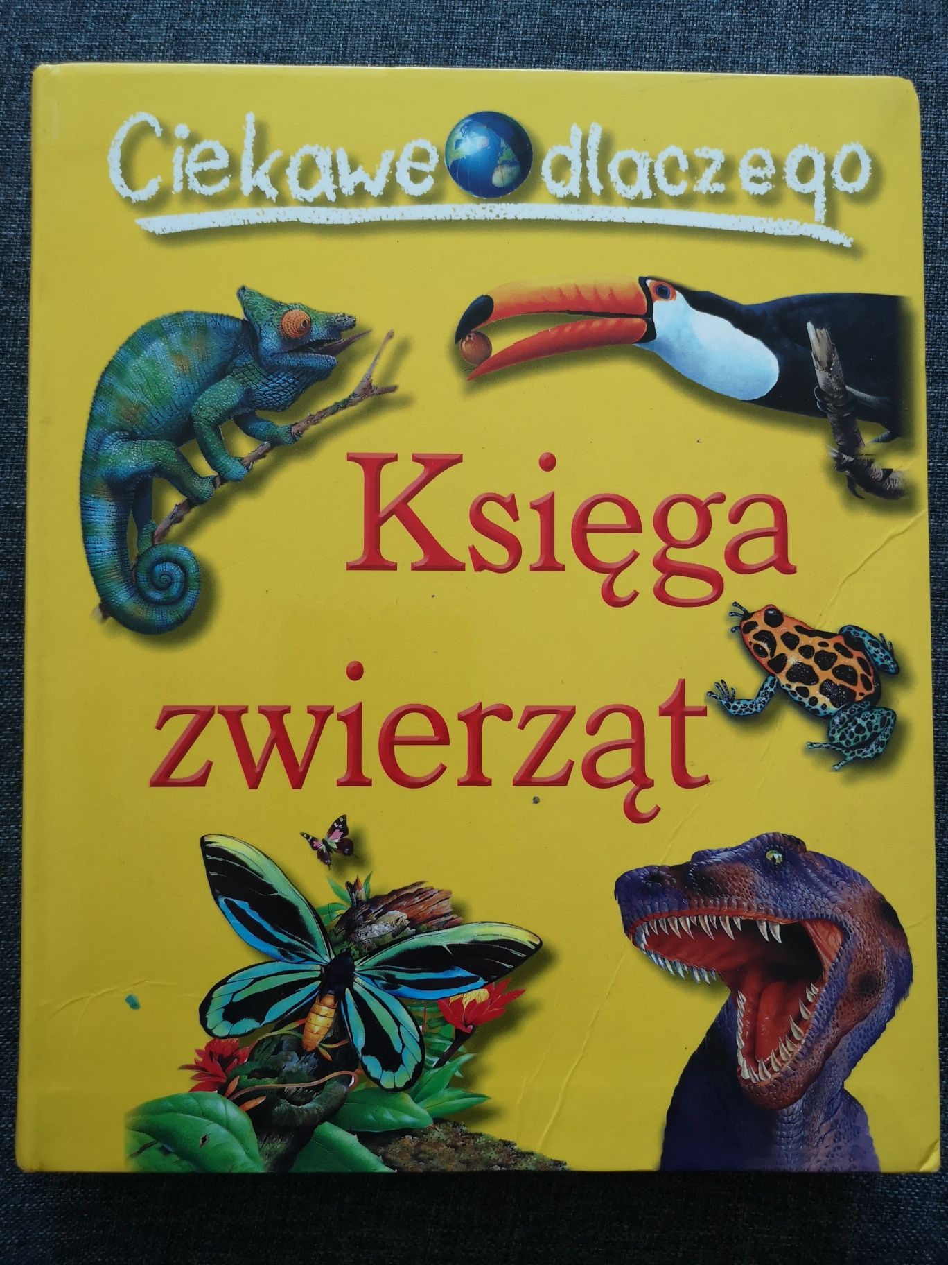 Księga zwierząt, ciekawe dlaczego