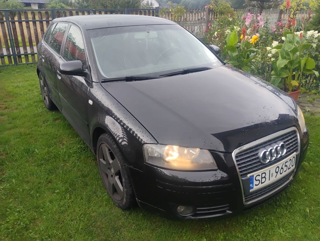 Audi a3 8P 1.9 TDi