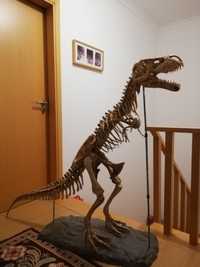 Esqueleto dinossauro T- Rex