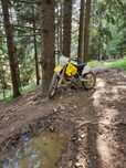 Suzuki rm250 1999
