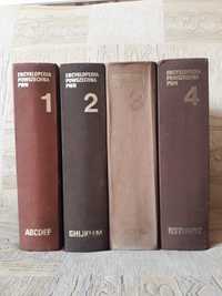 Encyklopedia PWN wydanie 3 rocznik 1983