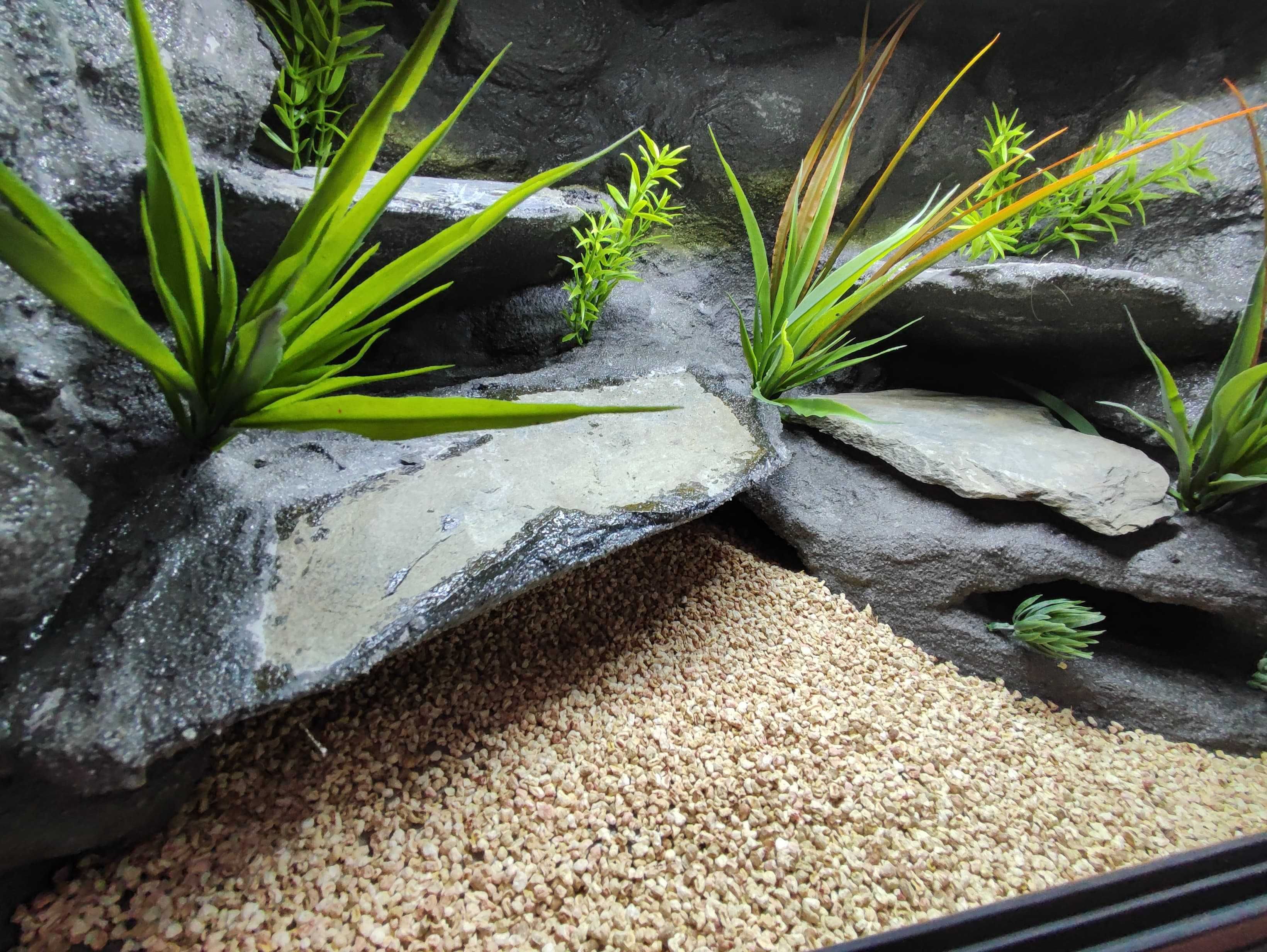 Terrarium pustynne nr717 60/40/40 dla gekona lamparciego DOSTĘPNE