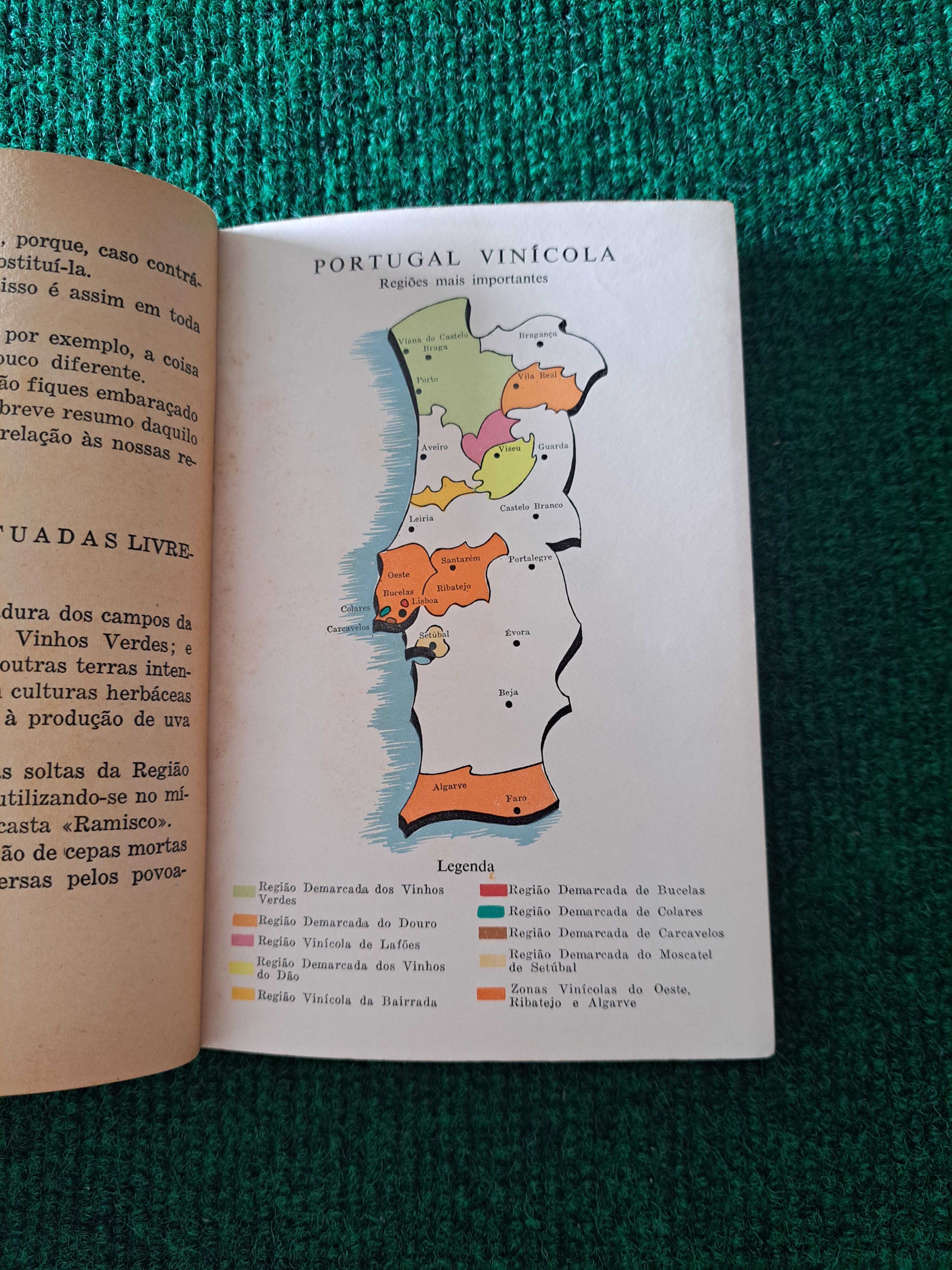 A Vinha - Alfredo Baptista